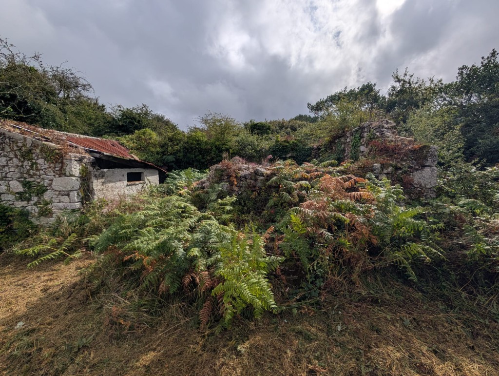 Lot: 106 - FREEHOLD LAND WITH LAKE AND DISUSED BUILDINGS - Disused building